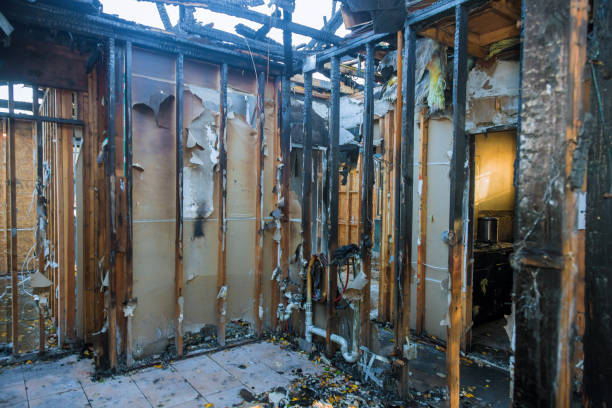 Professional Smoke Damage Removal technician working in Long Lake, MN